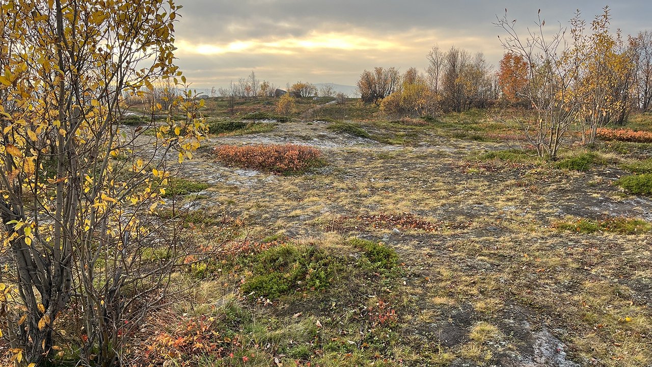 Главная картинка новости: В Коми 28 октября ожидаются переменная облачность и осадки разной интенсивности