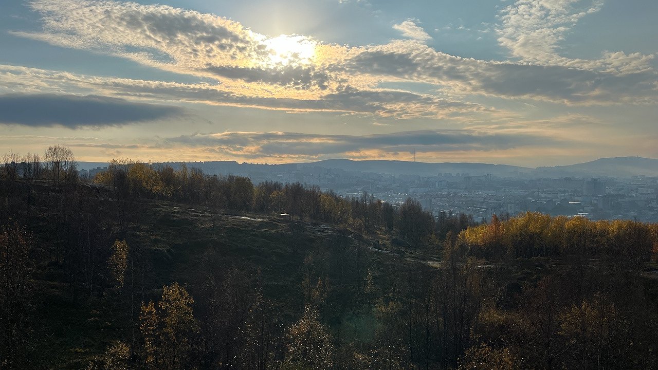 Главная картинка новости: В Коми подсчитали ущерб от незаконных рубок леса