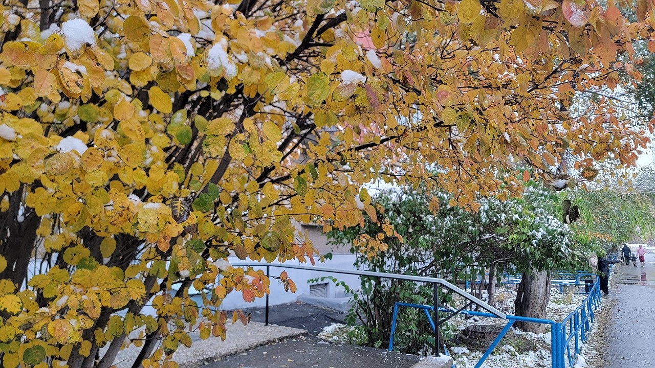 Главная картинка новости: В Коми 30 октября пройдут осадки и местами образуется гололёд