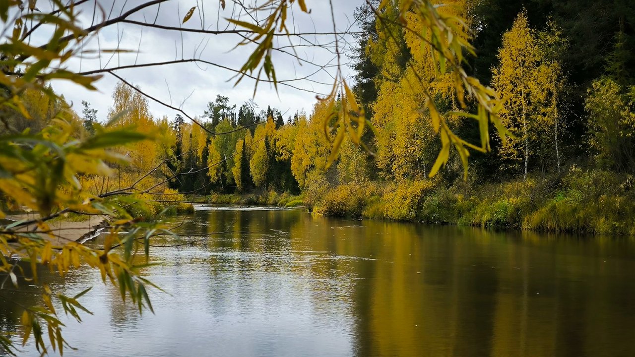 Главная картинка новости: На реке в Коми выявили факты незаконной рыбалки и загрязнения водоохранной зоны