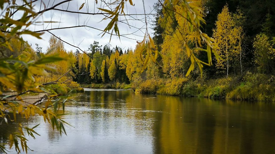Главная картинка новости: На реке в Коми выявили факты незаконной рыбалки и загрязнения водоохранной зоны