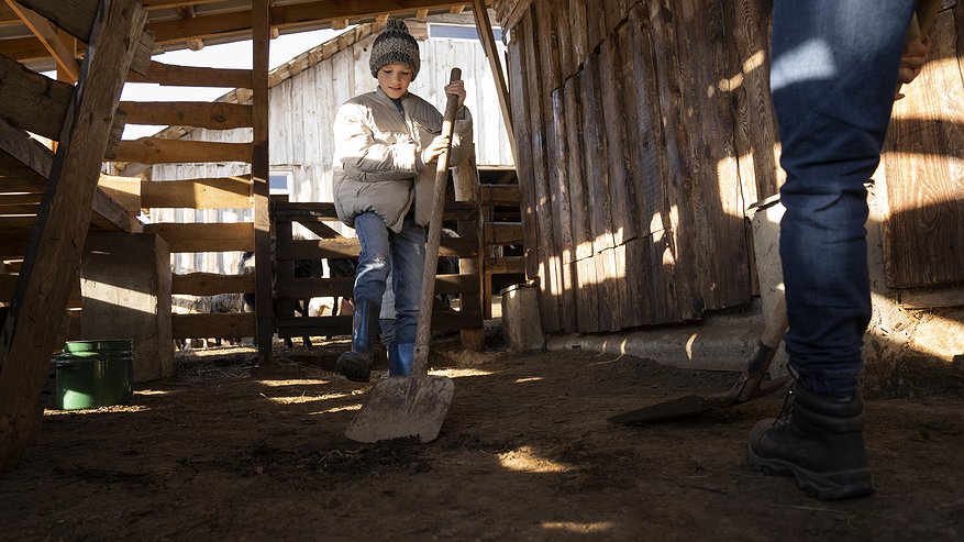 Главная картинка новости: Зачем в домах на продажу ушлые строители отсыпают весь участок скалой: новый хозяин узнает об этом только через 3 года