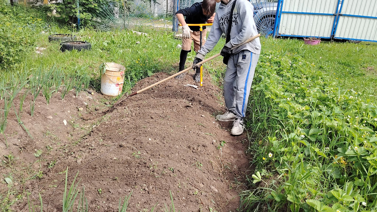 Главная картинка новости: За зиму перегниют и толстые ветки, и ботва: каждый гол так ускоряю компост - на заметку каждому дачнику