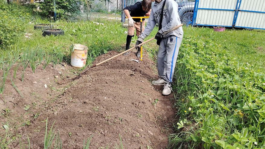 Главная картинка новости: За зиму перегниют и толстые ветки, и ботва: каждый гол так ускоряю компост - на заметку каждому дачнику