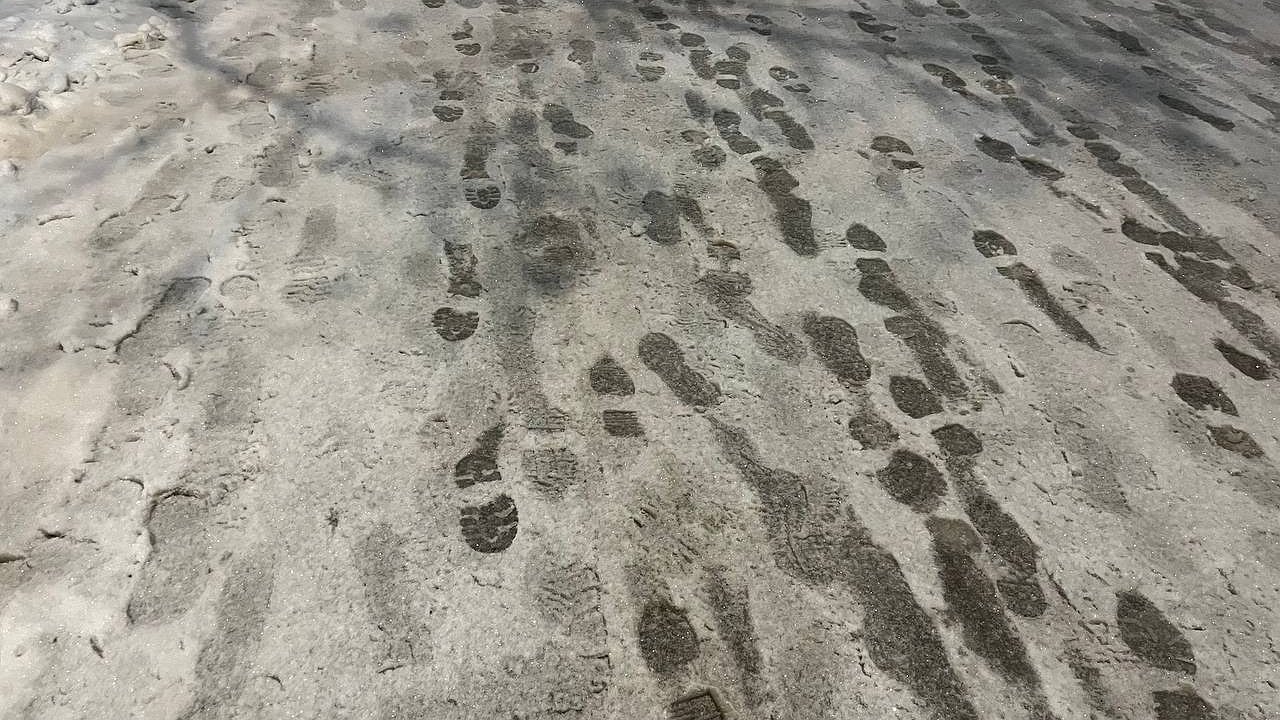 Главная картинка новости: В Коми 7 ноября ожидаются осадки, туман и гололед