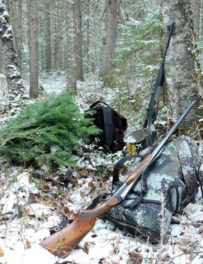 Коми открывает новую главу в охотничьем законодательстве