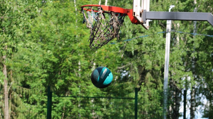 Главная картинка новости: В Коми растет количество инициатив по развитию спортивной инфраструктуры