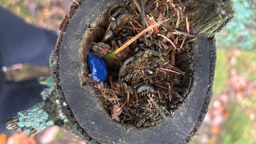 Главная картинка новости: В Коми задержан мужчина за попытку сбыта наркотиков в крупном размере