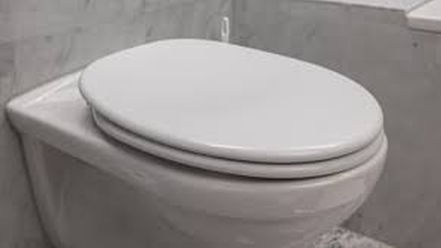 Главная картинка новости: После этого случая всегда опускаю крышку унитаза и вам советую: вот почему нельзя оставлять открытым