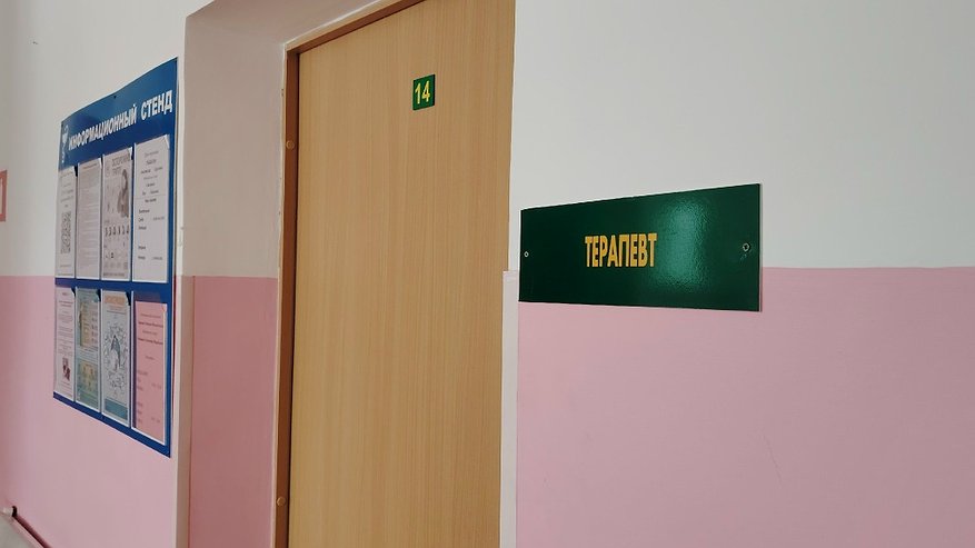 Главная картинка новости: За неполный год в Коми прибавилось 250 врачей и 400 медсестер