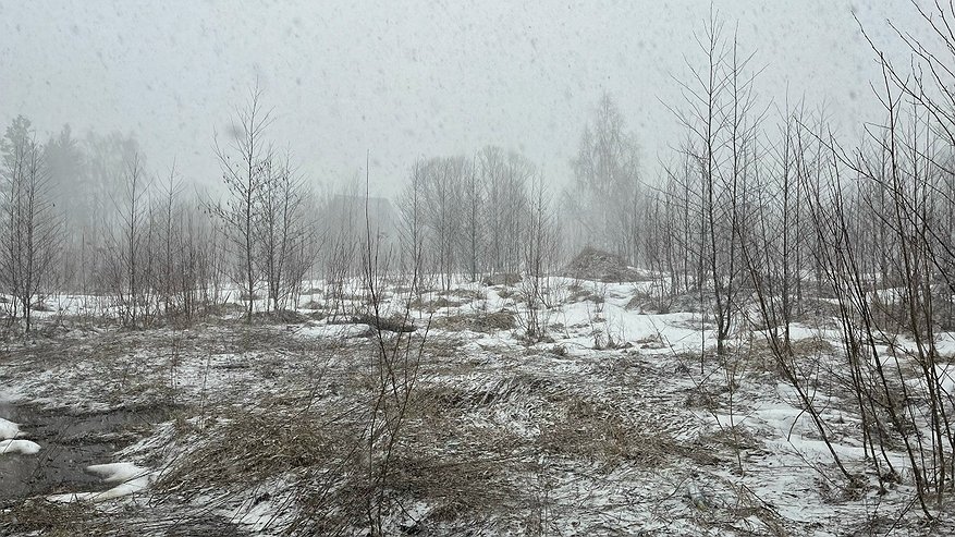 Главная картинка новости: В Коми 18 ноября ожидаются снегопады и метель