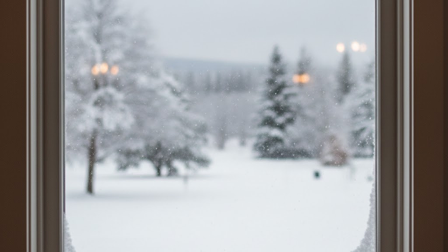 Главная картинка новости: Из окон не дует даже в пургу: простой предмет на подоконнике блокирует сквозняки и источает ароматы леса