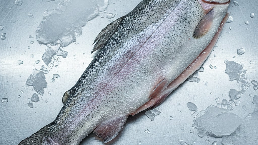 Главная картинка новости: Купил форель в "Светофоре" для засолки икры — только дома понял, какая она: обзор без прикрас