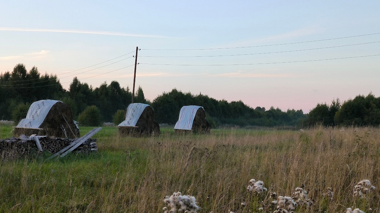 Главная картинка новости: В Коми фермер заплатит 100 тысяч за свалку на поле