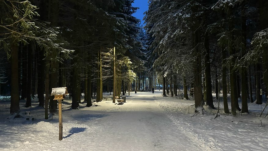 Главная картинка новости: В Коми 26 ноября ожидается небольшой снег и понижение температуры