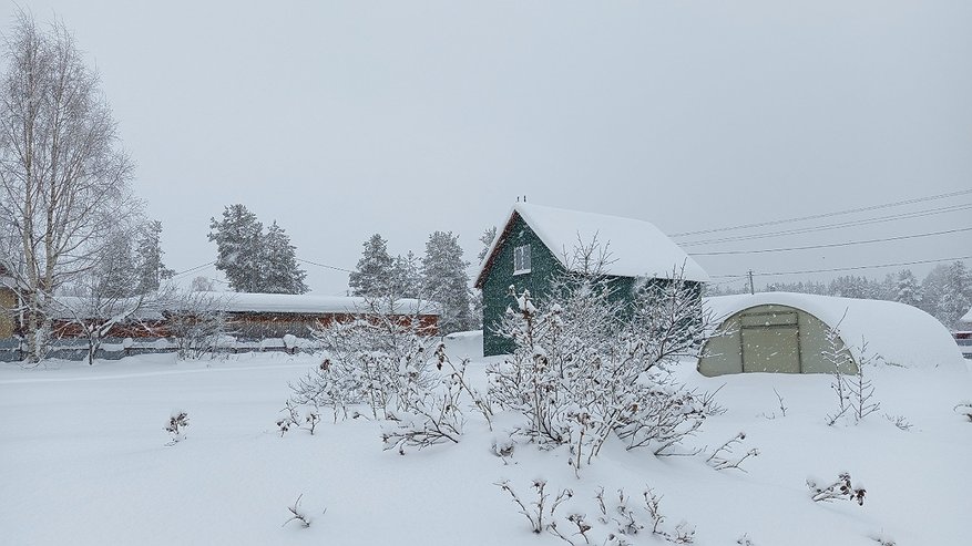 Главная картинка новости: В Коми ожидается резкое похолодание 27 ноября
