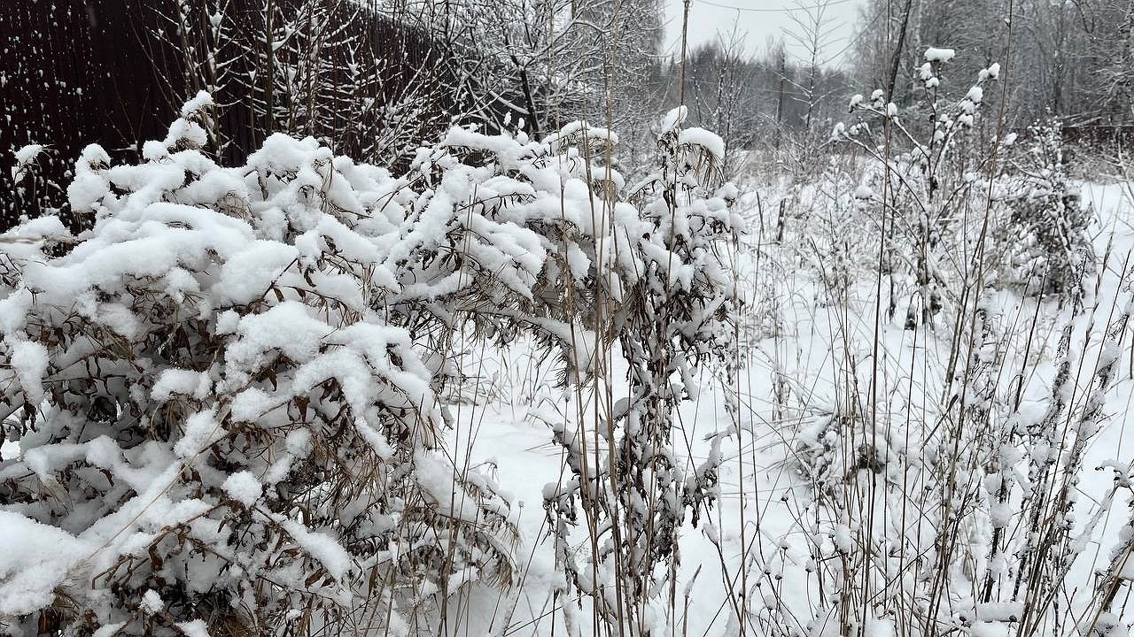 Главная картинка новости: В Коми 1 декабря пройдут осадки и сохранится порывистый ветер
