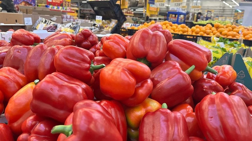 Главная картинка новости: В Коми изменились цены на продукты, бытовую технику и лекарства