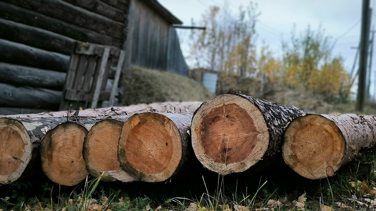 Главная картинка новости: Семье погибшего работника лесовоза назначили компенсацию в Коми