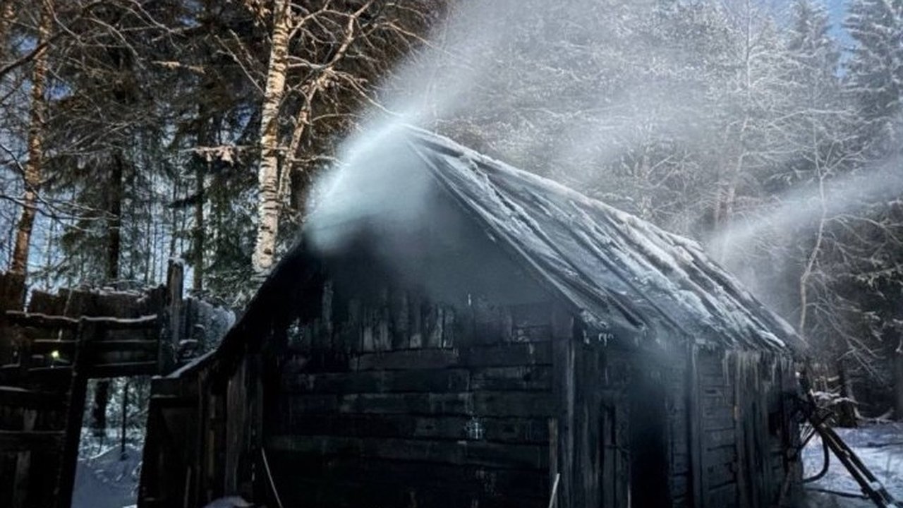 Главная картинка новости: В Коми за сутки ликвидировали серию пожаров в разных районах региона