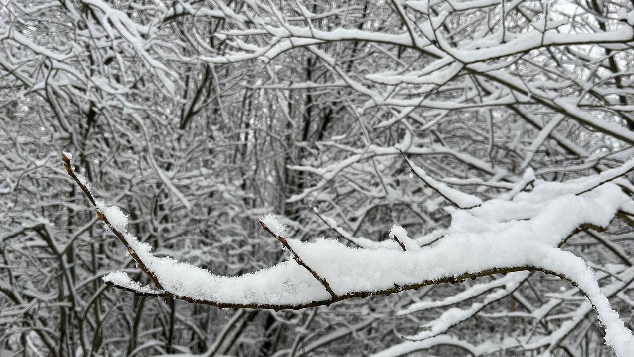 Главная картинка новости: В Коми 11 декабря ожидаются снегопады и усиление ветра