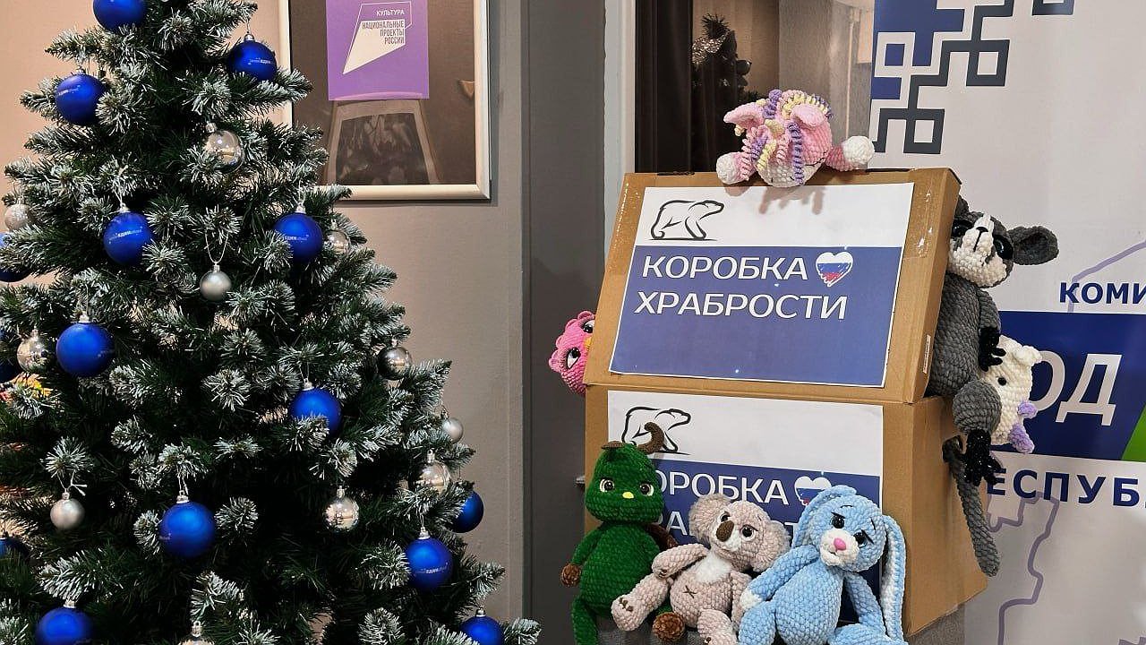 Главная картинка новости: Усинск подвёл итог акции «Коробка храбрости»