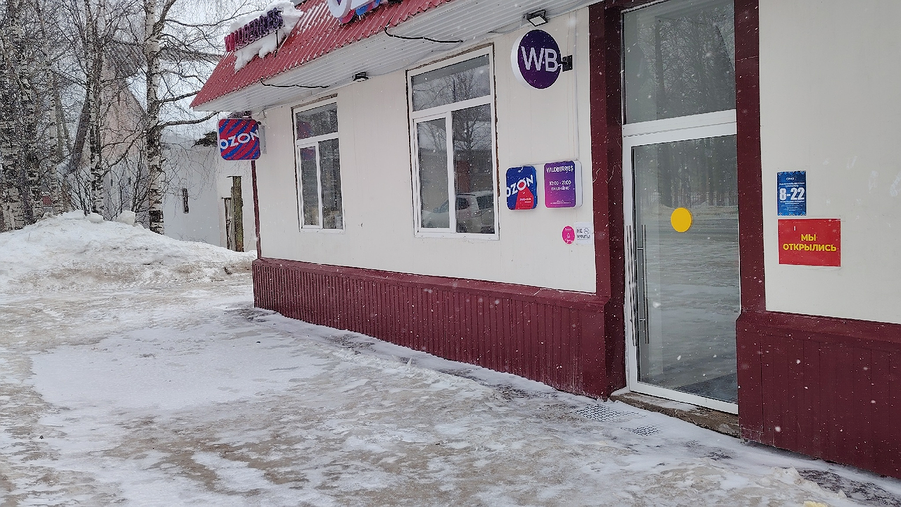 Главная картинка новости: Что возьмем на Новый год с Wildberries и Ozon: 30 крутых находок от редакции