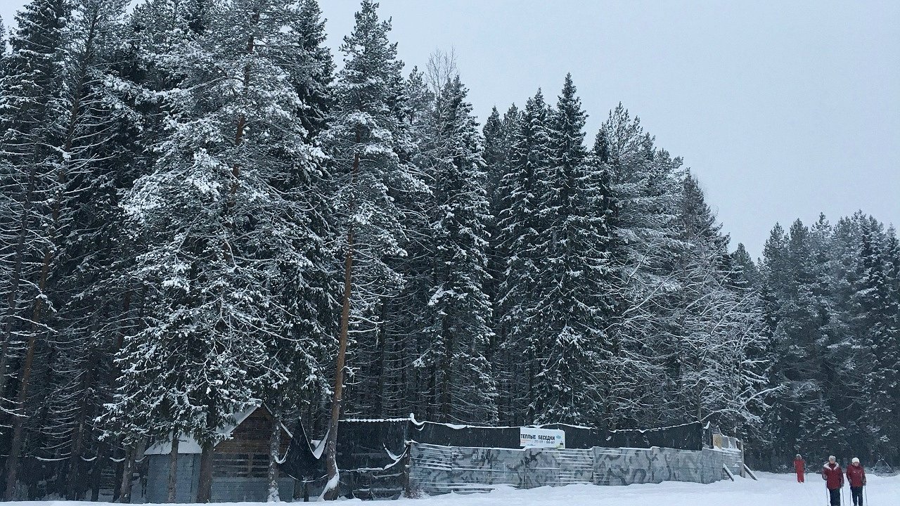 Главная картинка новости: В Коми 19 декабря сохранится морозная погода со снегом