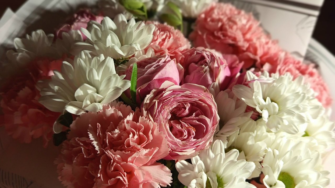 Главная картинка новости: Жительница Коми лишилась 300 тысяч рублей, поверив в «подарок к дню рождения»