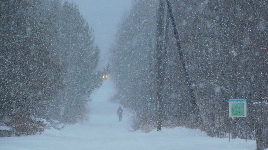 Главная картинка новости: В Коми 21 декабря ожидаются температурные качели и снежные бури