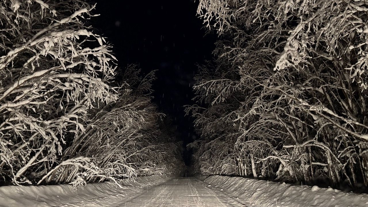 Главная картинка новости: В Коми 23 декабря сохранятся сильные морозы и переменная облачность