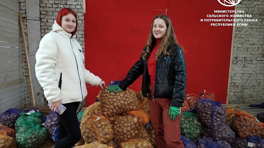 Главная картинка новости: Коми продолжает привлекать молодых специалистов в агропромышленный комплекс