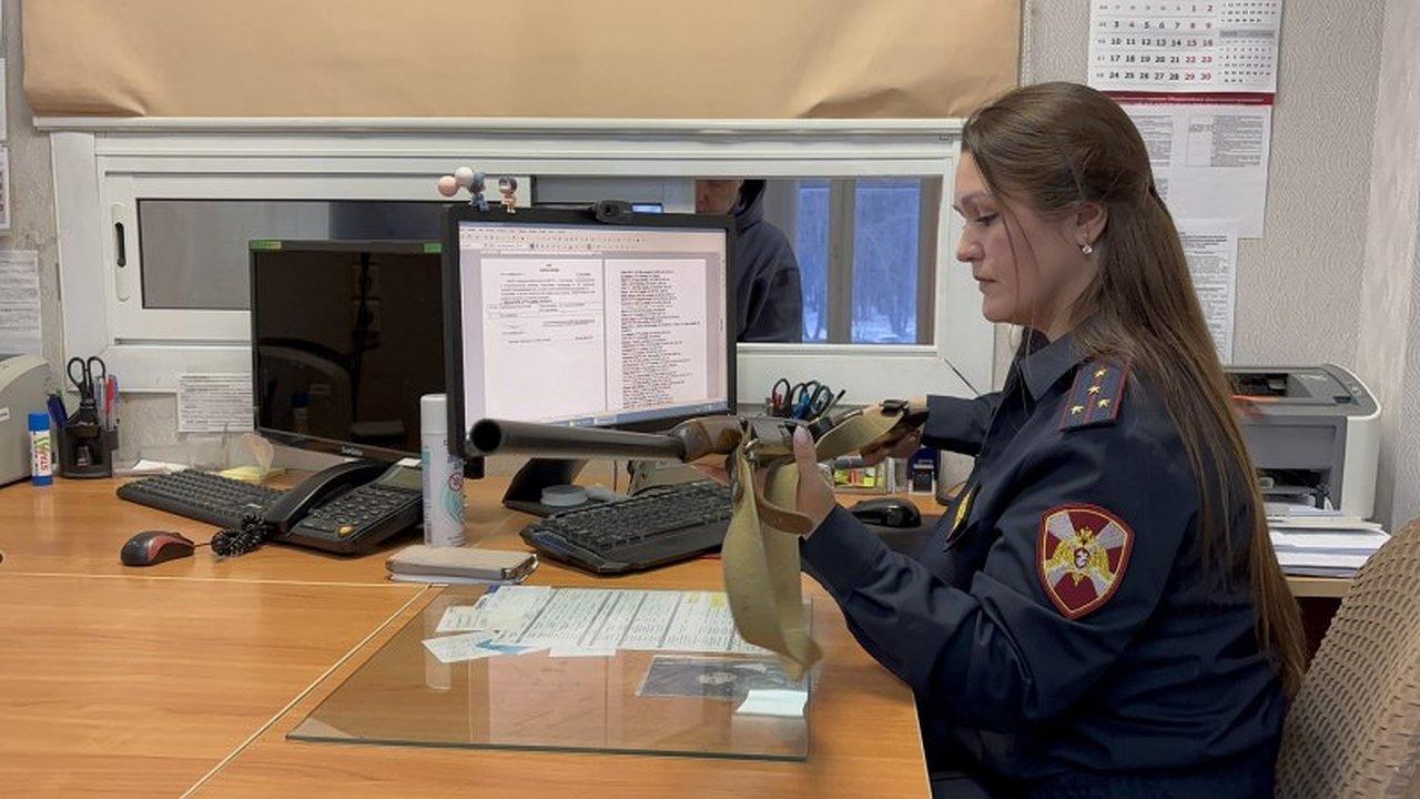 Главная картинка новости: В Коми Росгвардия изъяла у населения рекордное количество оружия в 2025 году