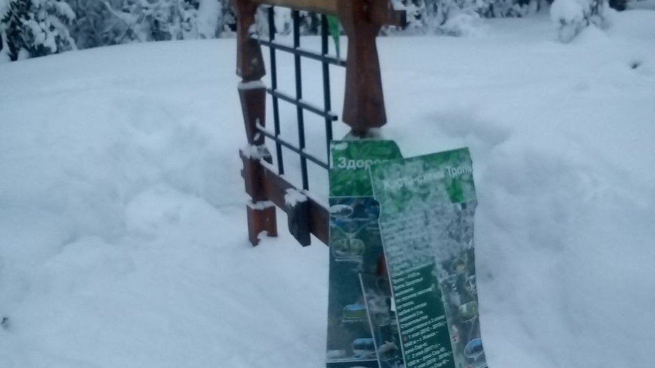 Главная картинка новости: Любимое место отдыха усинцев пострадало от рук вандалов