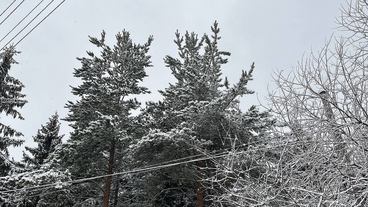 Главная картинка новости: 16 января в Коми ожидается снег и усиление ветра