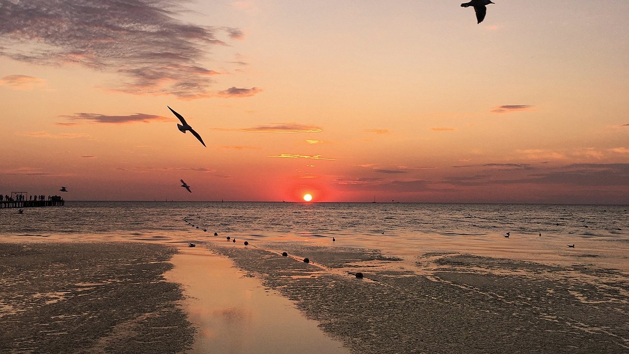 Главная картинка новости: "Злые люди, змеи, грязь и невкусная еда": туристы делятся своим разочарованием от поездки в Абхазию