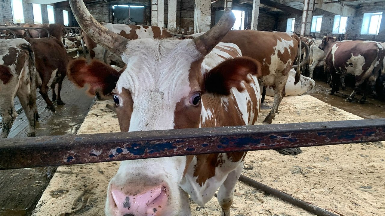 Главная картинка новости: В Коми отменили карантин в посёлке после почти трёх месяцев ограничений