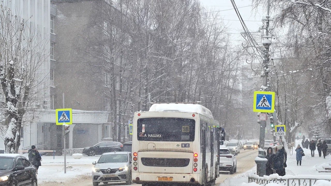 Главная картинка новости: В Коми пассажирка получила травму после экстренной остановки автобуса