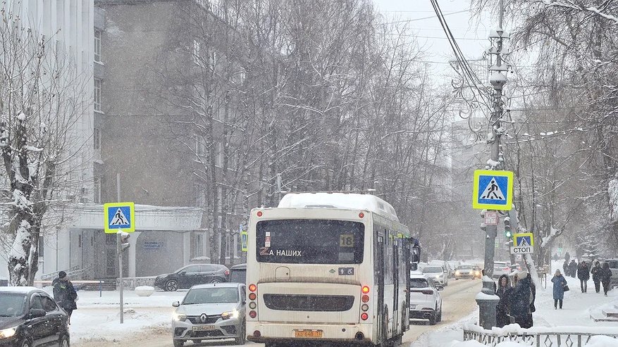Главная картинка новости: В Коми пассажирка получила травму после экстренной остановки автобуса