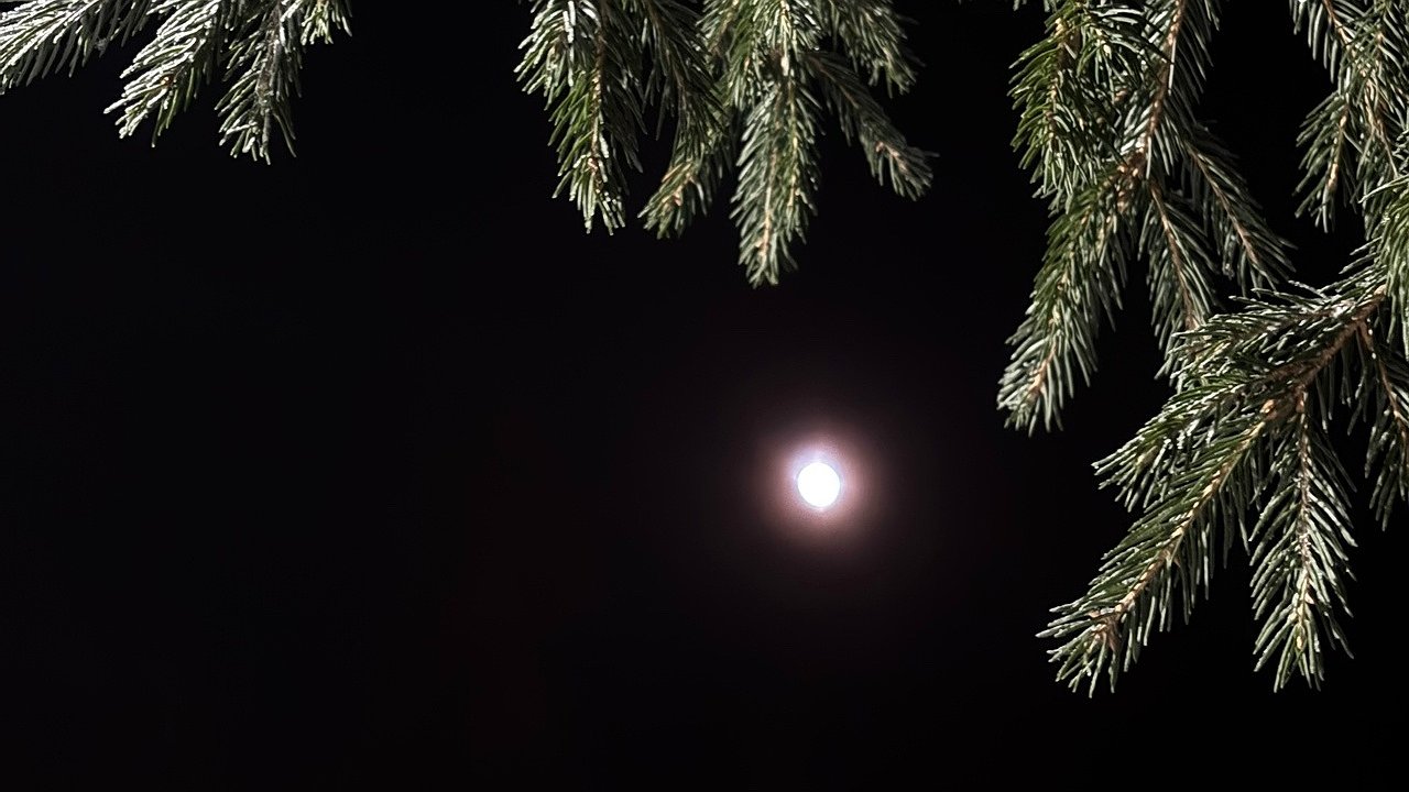 Главная картинка новости: 2 февраля в Коми усилятся морозы и восточные порывы