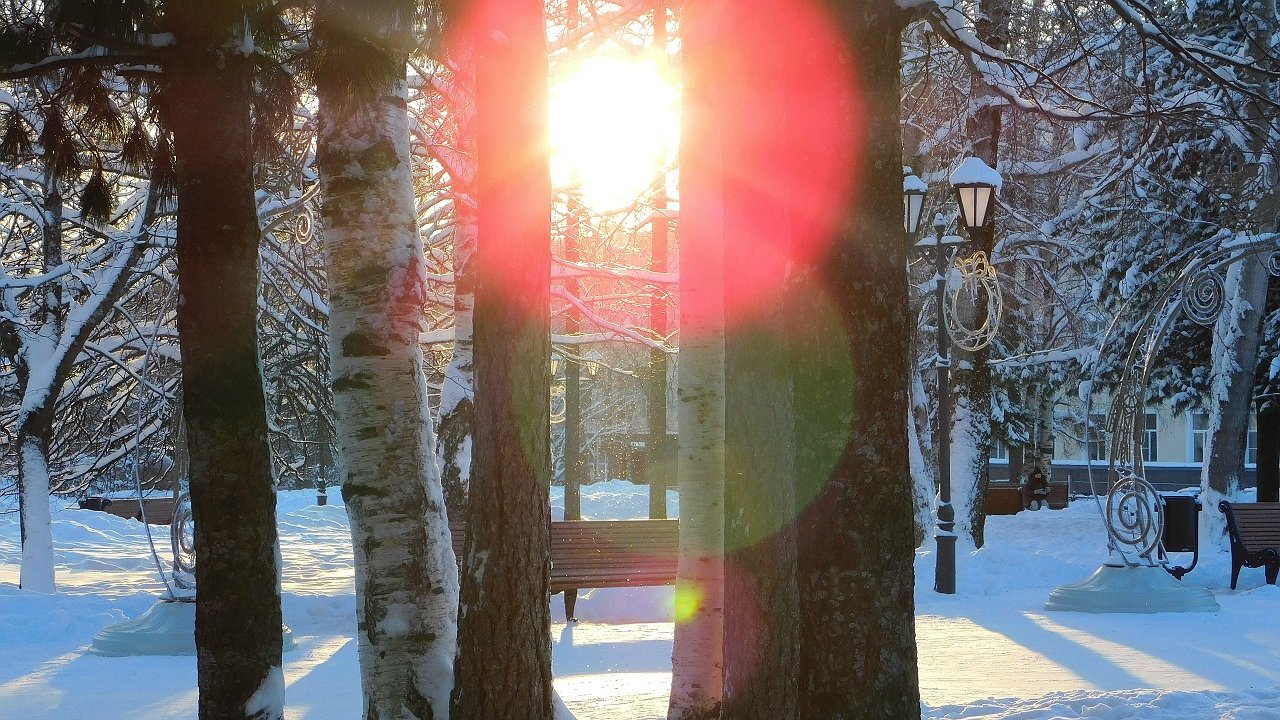 Главная картинка новости: 3 февраля в Коми сохранится облачная погода с осадками