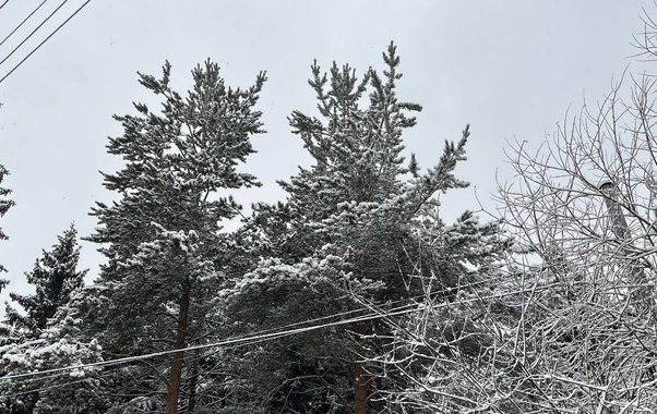 Погода в Коми 6 марта принесёт мороз и небольшой снег