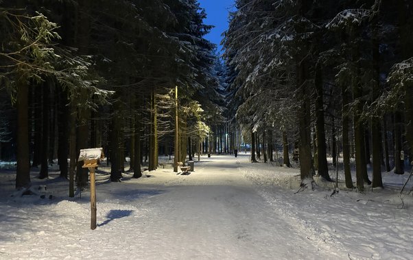 Жителей Усинска приглашают предложить идеи по благоустройству города