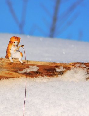 Морозы до –45 градусов ожидаются в Коми 8 марта