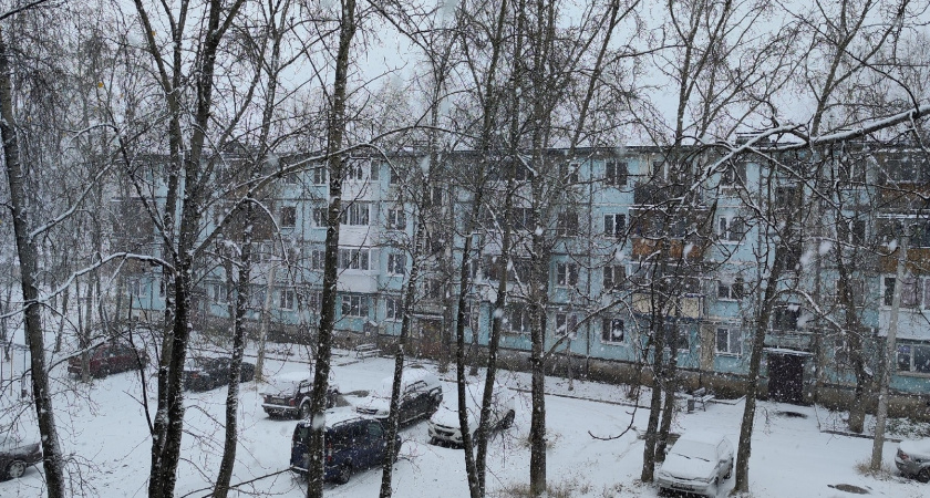 «Январь будет самым аномальным». Синоптики дали свежий прогноз на середину зимы
