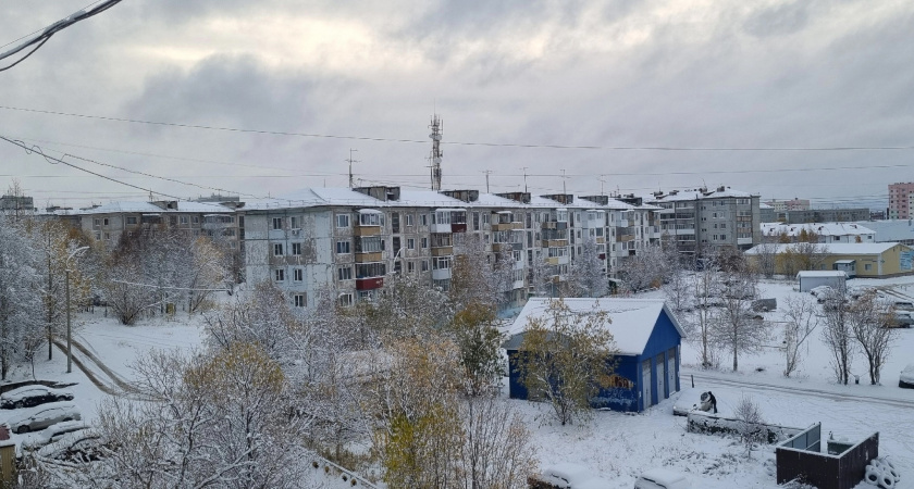 Прощальный подарок от Зеленого Дракона: какие знаки Зодиака обретут гармонию в личной жизни к завершению 2024