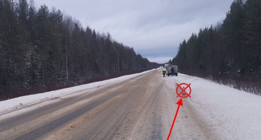 На трассе «Вятка» иномарка съехала в кювет: пострадали два пассажира