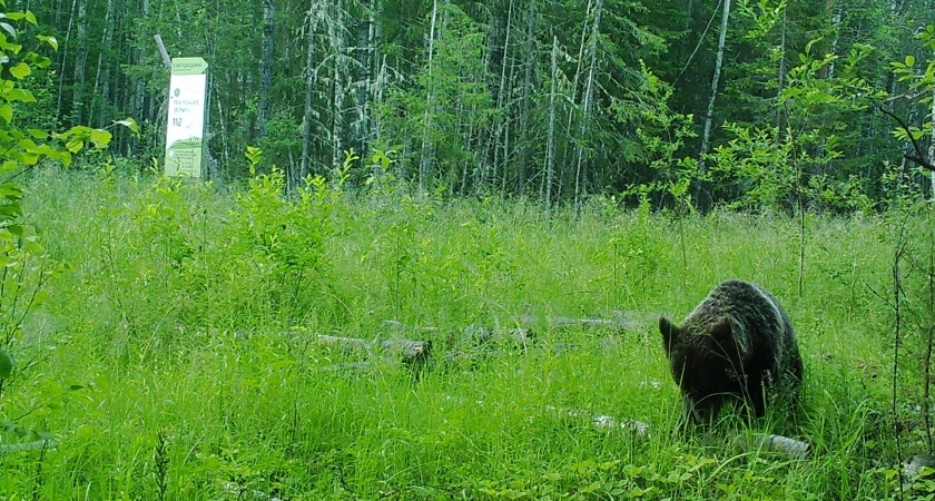 Нацпарк Койгородский в 2024 году посетили 300 туристов