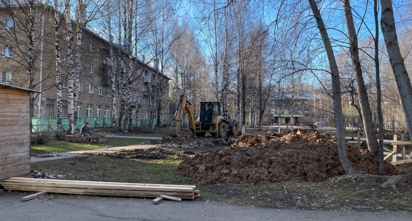 Сумма субсидий сельхозпотребкооперативам Коми в 2024 году составила 32 млн рублей