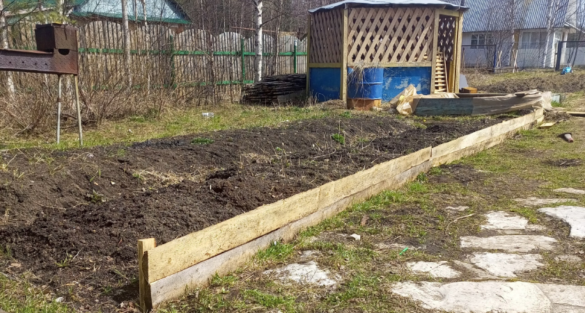 В мае всегда закапываю в огороде тряпку — необычный, но дельный совет от французских фермеров